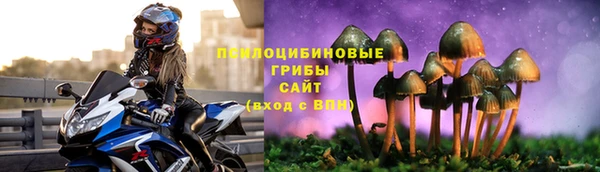 2c-b Богородицк