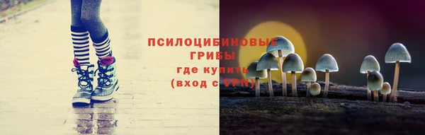 2c-b Богородицк