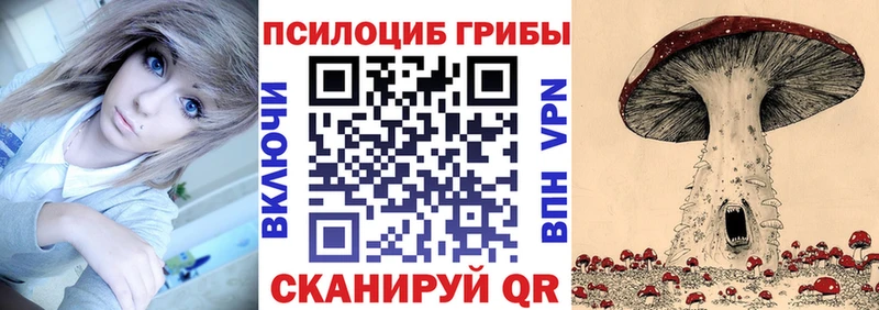 Купить где  Михайлов  Псилоцибиновые грибы прущие грибы 